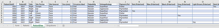 Skin Cancer Spreadsheet