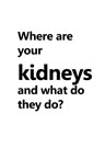 Where are your kidneys and what do they do?
