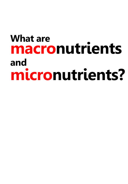 What are macronutrients and micronutrients?