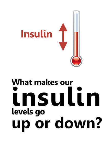 What makes our insulin levels go up or down?